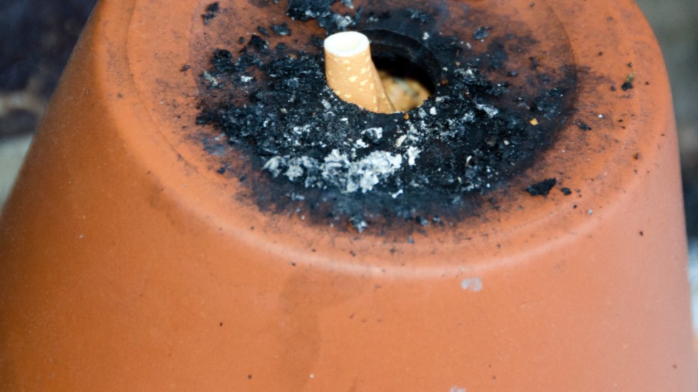 Det råder rökförbud på hela Furuhedsskolans område. Bilden är inte tagen på Furuhedsskolans område.