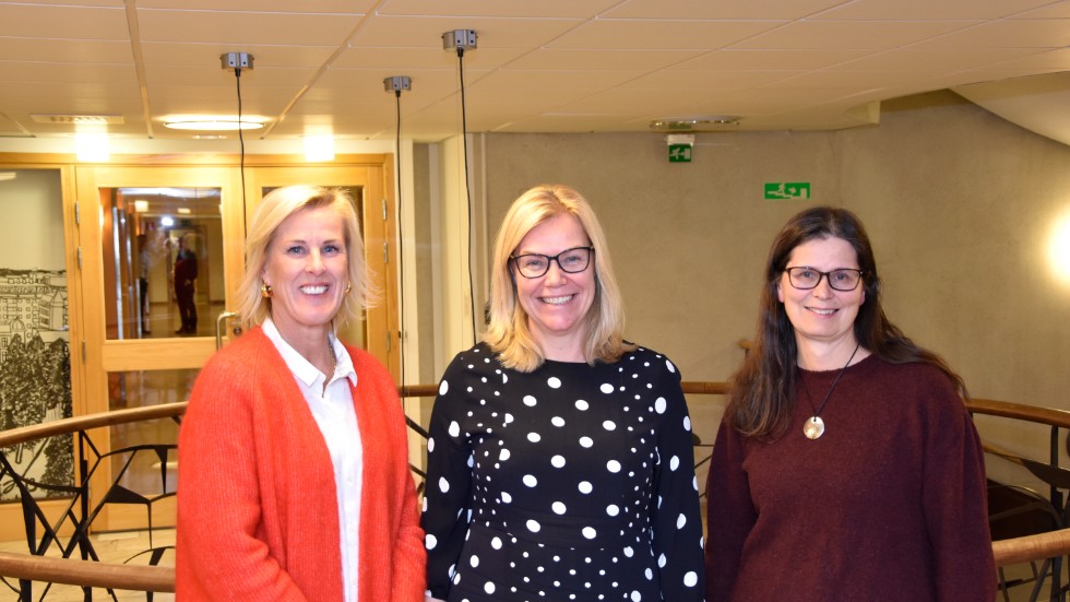 Åsa Fahlén, ordförande i Lärarnas riksförbund, tror att en statligt finansierad skola kan vara lösningen för krisens Luleå. Det förklarade hon vid ett möte med kommunalrådet Lenita Ericsson (S) och Ingela Hörnell, ordförande i Lärarnas riksförbund i Luleå.
