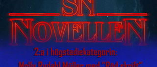 SN-novellen: Molly Rydahl Müllers bidrag