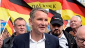 Radikaler i tyskt parti tar kliv tillbaka