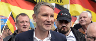 Radikaler i tyskt parti tar kliv tillbaka