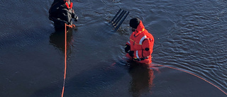 Så ska smolten räknas i Råneälven