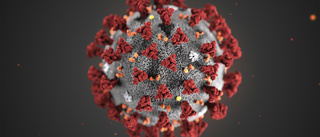 Coronaviruset: Ett nytt dödsfall i Västerbotten
