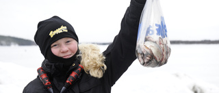 Friluftsliv i Ursviksfjärden