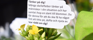 Boende i åldringsvården uppmuntras med blomma