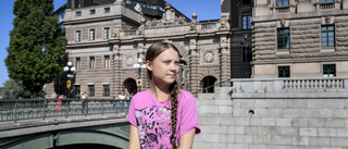 Greta Thunberg vid riksdagen - strejker världen över