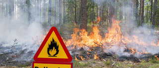 Planerade bränder på Sandön i maj • 30 hektar ska brännas • Gynnar djur och natur
