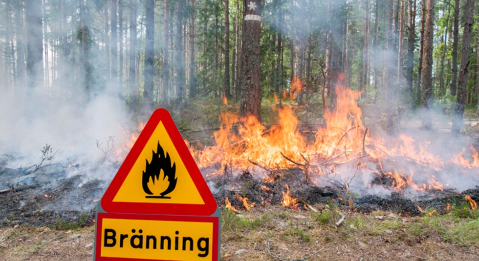 På fredagen genomför länsstyrelsen en naturvårdsbränning inom naturreservatet Stutagölen i Ydre kommun. (Bilden är tagen vid en tidigare naturvårdsbränning.) 