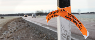 LISTA: Vägarna där flest viltolyckor sker i Vimmerby kommun