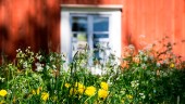 Rekordår för uthyrning av stugor