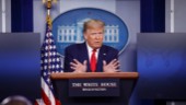 Trump: Konsekvenser om Kina spridit viruset