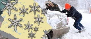 SMHI varnar för snöfall – kan komma en decimeter