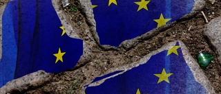 Risk för ojämn återhämtning hotar EU