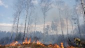Trots brandrisk råder inget eldningsförbud i länet