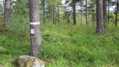 Skolskogarna i Finspångs kommun