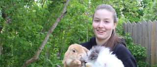 Nathalie öppnar pensionat för "semestrande" kaniner