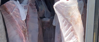 Polisens fynd: Lastbil med 3,6 ton griskött i överlast