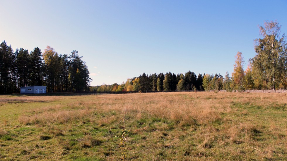I dag används Kogaråsen som betesmark.