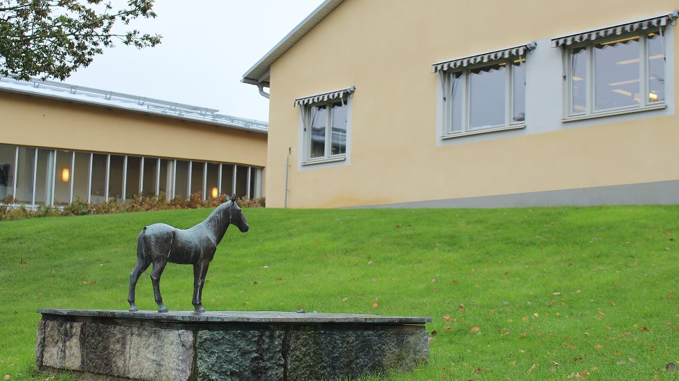 "Häst och Pojke"-skulpturen, dock utan pojke, står vid Tunagården sedan 1981.