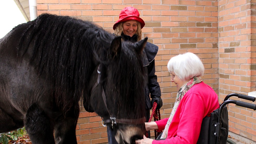Hästen Balder var ett populärt inslag i årets julmarknad. Här myser han med Anita Alm. Bakom står Balders ägare Susanne Holmberg.