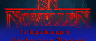 SN-novellen: Milosz Krawczyks "Mina vänner"