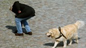 Målet: Mindre hundbajs på trottoarerna
