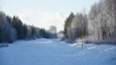 Talga konkretiserar planerna på fabrik i Luleå