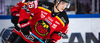 Boden lånar spelare från Luleå Hockey