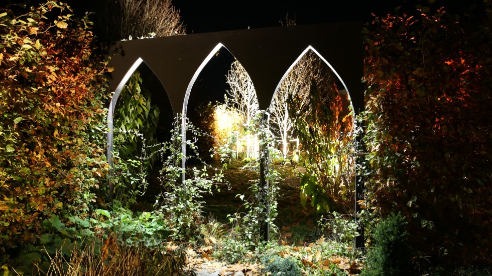 Stämningsfylld ljussättning i den sista delen av Livets trädgårdar, Stillheten.
