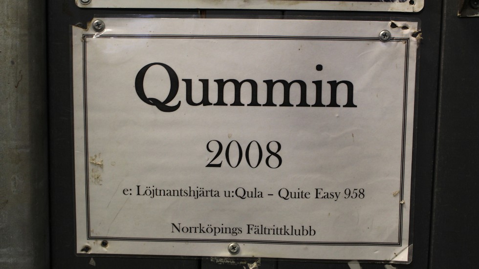 Qummin föddes 2008 hos Norrköpings fältrittklubb. Under åren har han blivit omåttligt populär.