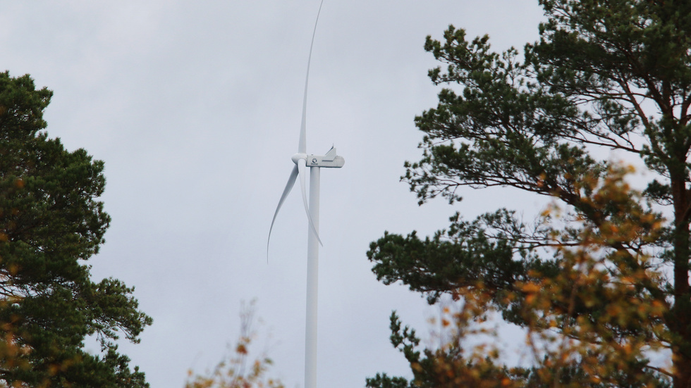 Hultsfreds kommun säger nej till vindkraftsetablering i Tönshult mellan Virserum och Triabo. Orsaken är att det ligger bostäder för nära den tänkta platsen.