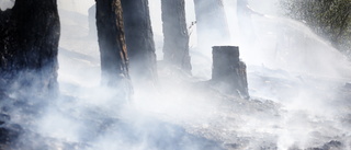SMHI: Hög risk för gräsbränder