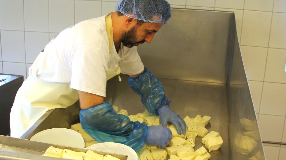 Abjar Bahno plockar upp de varma ostbitarna.