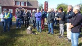 Välbesökt höstvandring genom Gryts by