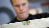 Så är deras snittlön – tio år efter gymnasiet