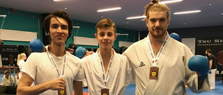 Tre SM-medaljer till Norrköpings Sportkarate