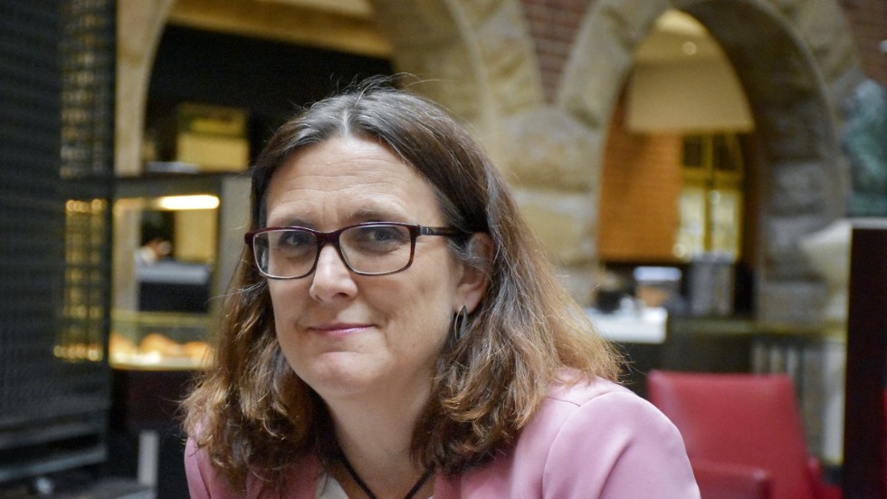 Cecilia Malmström är en av Sveriges vassaste samhällsaktörer. Hon har tunga poänger när hon varnar partierna för att låta snålheten bedra visheten. 