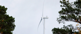 Ännu mer vindkraft på gång i kommunen
