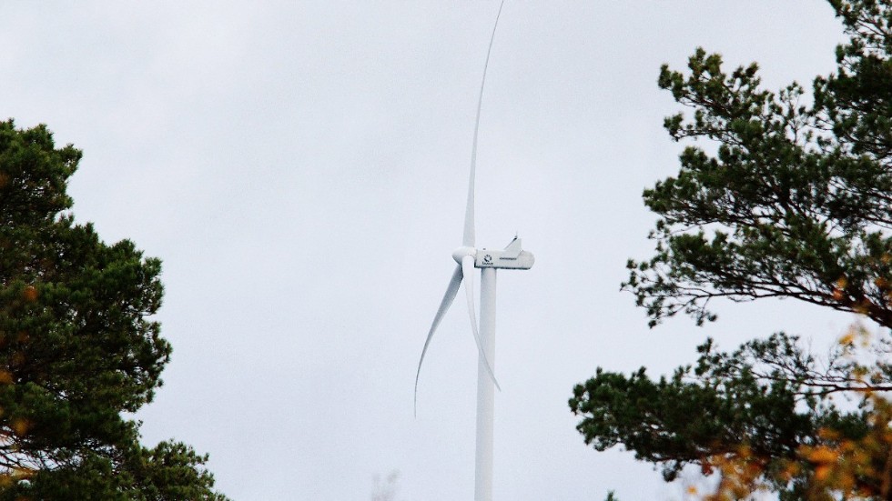 Ett 20-tal vindkraftverk i skogarna mellan Hyggelsebo och Tillingby kan bli verklighet om företaget Njorder gör verklighet av planerna som presenterats.