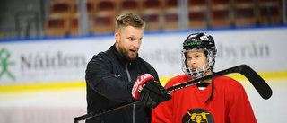 Luleå Hockeys kaosartade försäsong: "Noll dagar tillsammans"