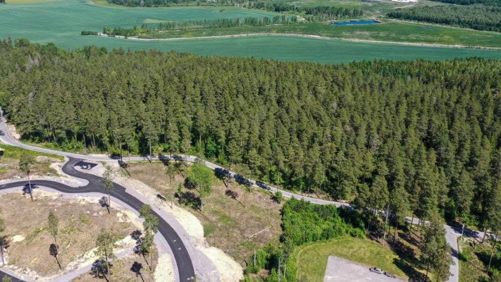 Vid detta skogsområdet i Klinga planeras logistikbyggnader.