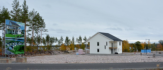Nybyggarna blir fler i Västervik: "Nästan mer lönsamt att bygga nytt"
