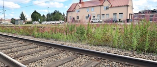 Insändare: Järnvägen kan lösa kommunens kollektivtrafik