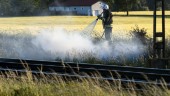 Risk för gräsbränder i stora delar av landet