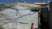 Virusoro i överfulla flyktinglägren i Libanon