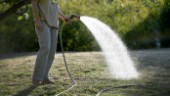 Tystbergas råvattenbrunnar i brist på vatten – nu införs bevattningsförbud