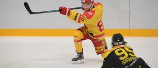 Klart: Sellin gör hockeyallsvensk debut till hösten