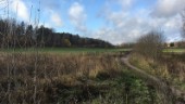 Vilket parti bryr sin på riktigt om landsbygden?