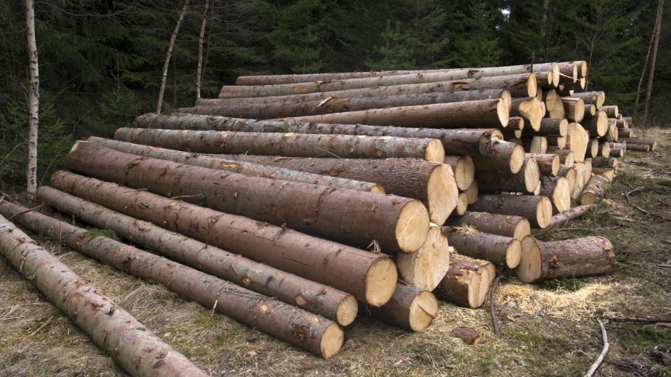 Skogen är Sveriges gröna guld. Det mesta av skogsnäringens produkter går på export. 2018 låg det totala exportvärdet på 145 miljarder kronor.