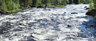 Norran granskar miljön: ”I princip har man påverkat alla vattendrag”